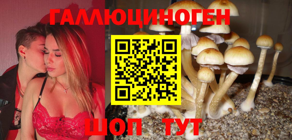 Галлюциногенные грибы Psilocybine cubensis Старая Русса